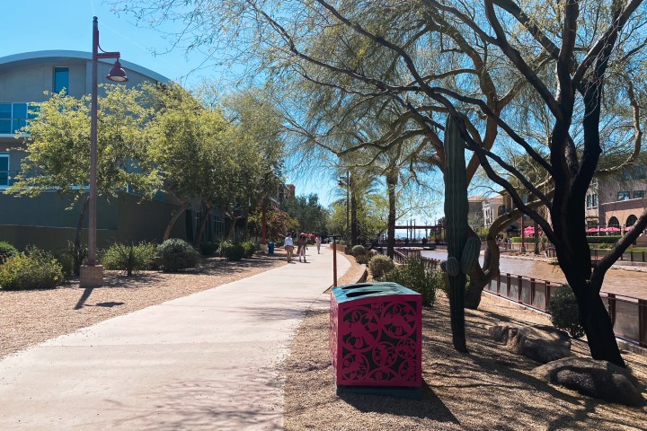 a sign on the side of a tree